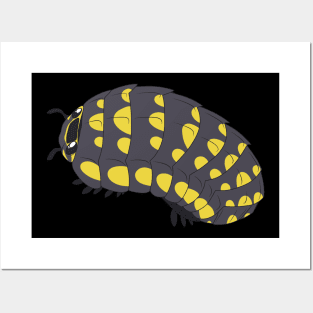 Armadillidium Isopod Posters and Art